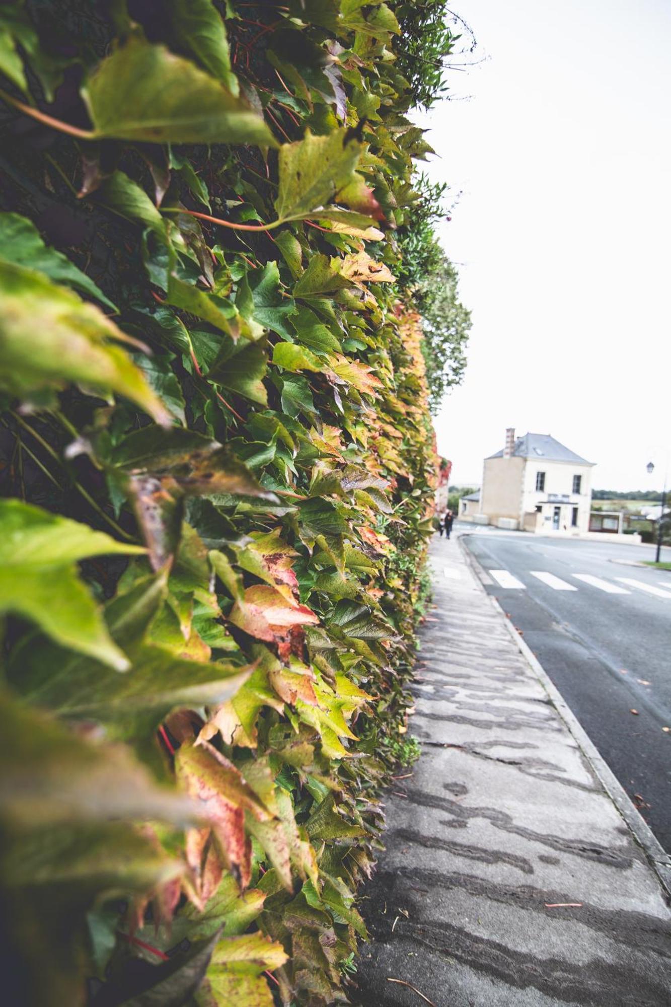 Apartmán Le Regisseur Brissac-Quince Exteriér fotografie