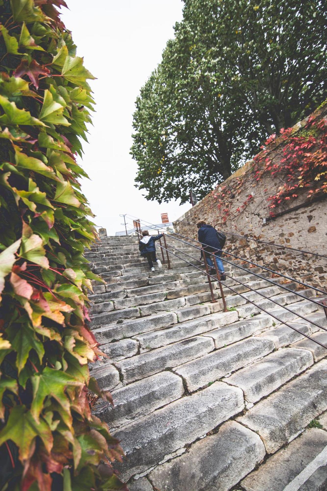 Apartmán Le Regisseur Brissac-Quince Exteriér fotografie